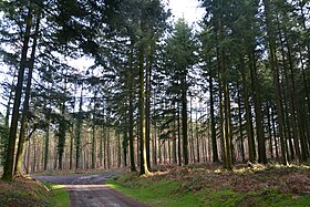 photo Saint-Léger-le-Guérétois