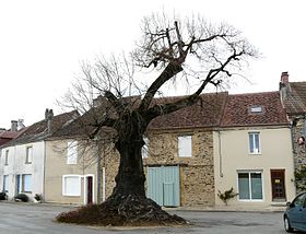 photo Angoisse