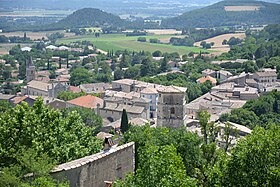 photo Marsanne
