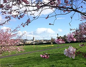 photo Argentré-du-Plessis