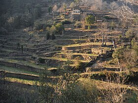 photo Saint-Martin-de-Boubaux