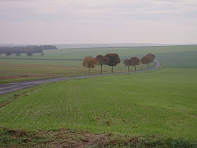 photo Faux-Vésigneul