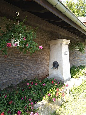 photo They-sous-Vaudemont