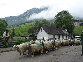 photo Lourdios-Ichère