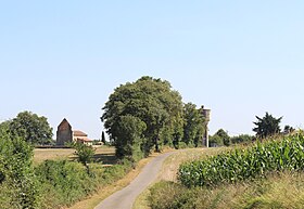 photo Hagedet