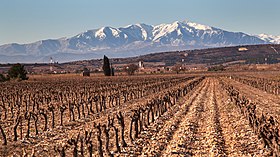 photo Espira-de-l'Agly