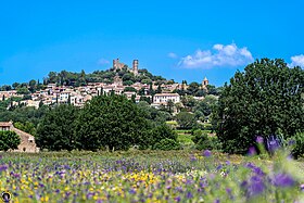 photo Grimaud