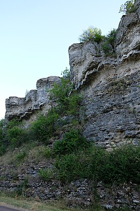 photo Circourt-sur-Mouzon